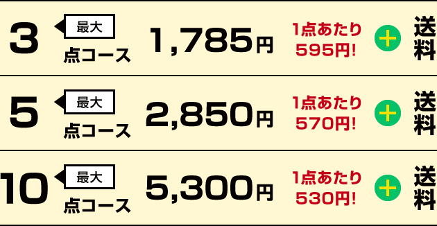 [最大]3点コース 1,785円円（1点あたり595円!）+ 送料／[最大]5点コース 2,850円（1点あたり570円!）+ 送料／[最大]10点コース 5,300円（1点あたり530円!）+ 送料